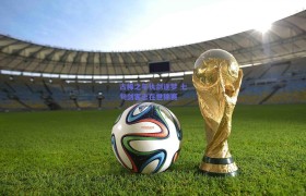 古稀之年执剑逐梦 七旬剑客志在世锦赛