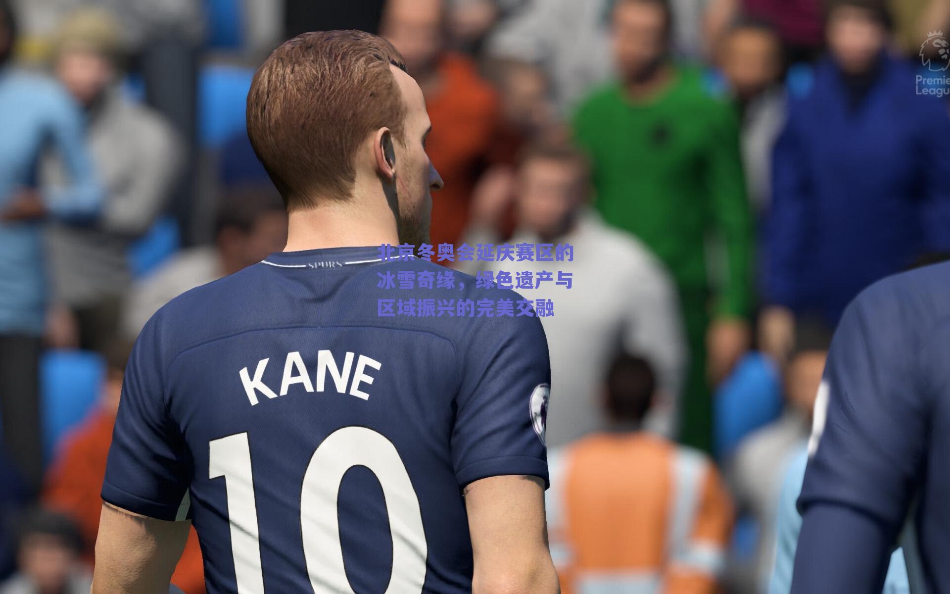 北京冬奥会延庆赛区的冰雪奇缘,绿色遗产与区域振兴的完美交融