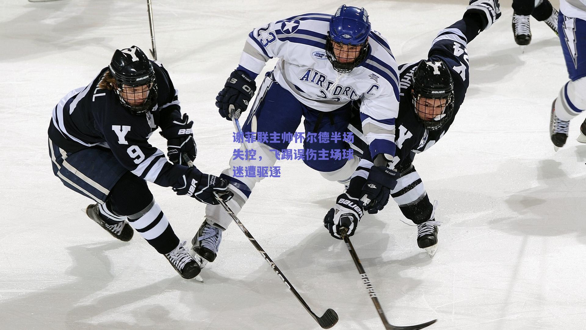 谢菲联主帅怀尔德半场失控，飞踢误伤主场球迷遭驱逐